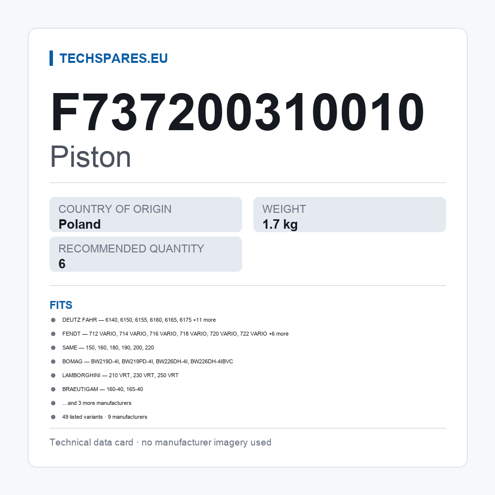 Piston F737200310010 — technical data card