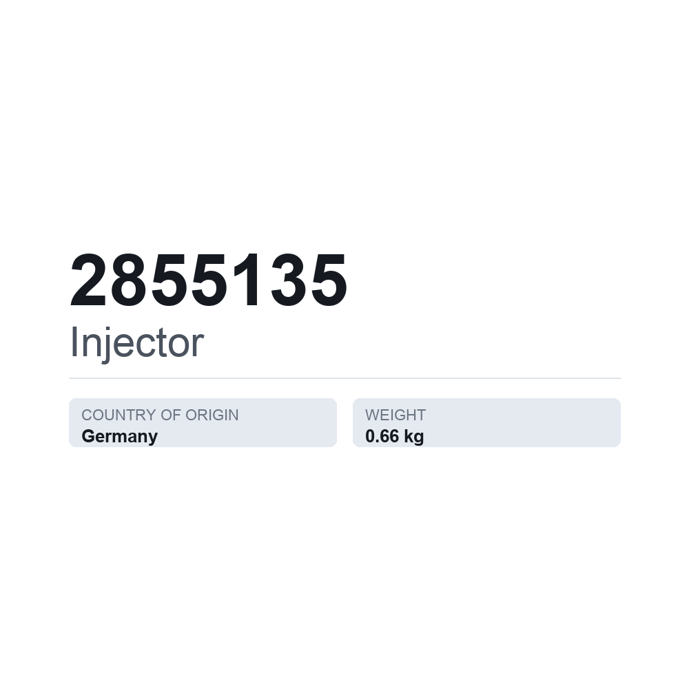 Indsprøjtningsdyse 2855135 — teknisk datablad