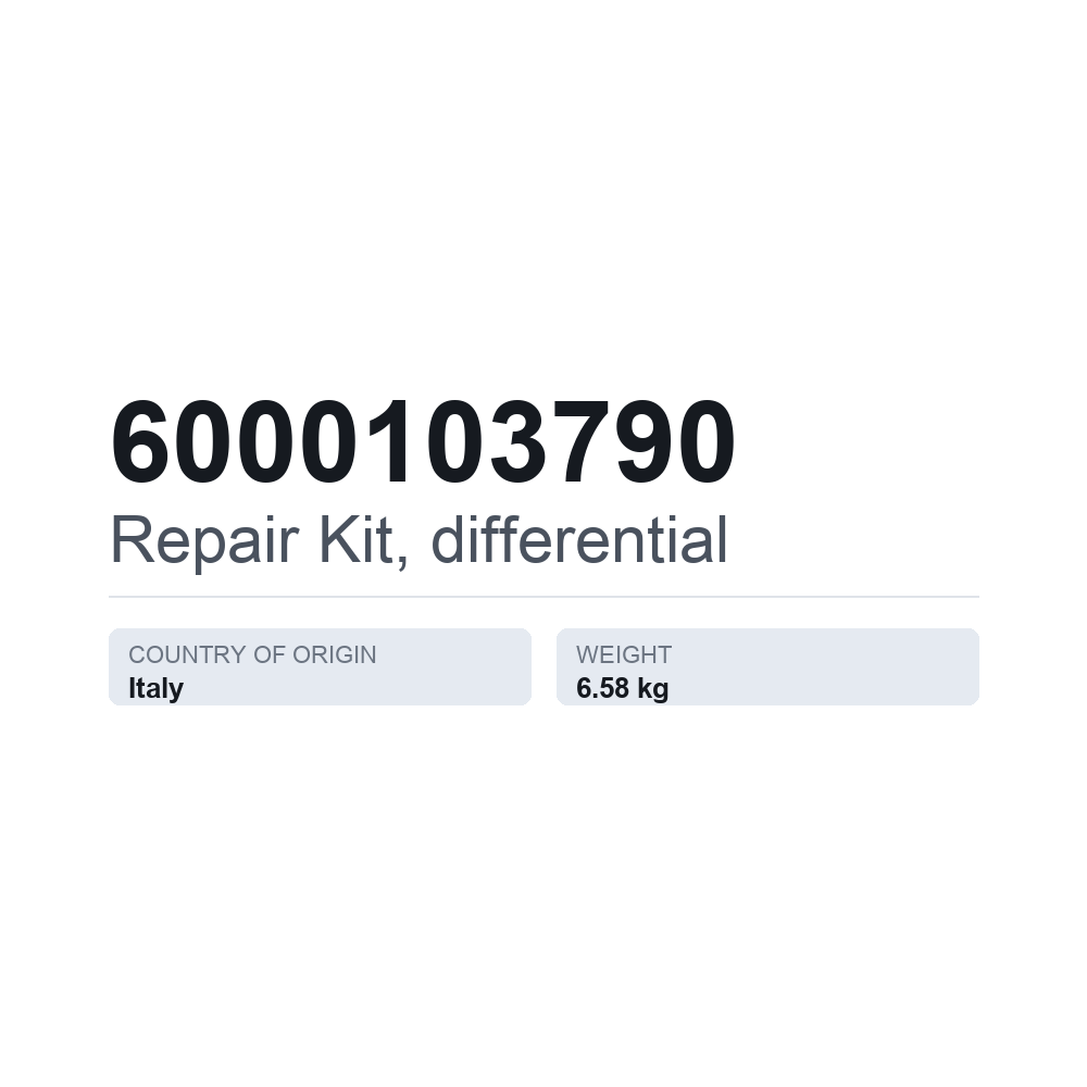 Reparatursatz, Differential 6000103790 — technisches Datenblatt