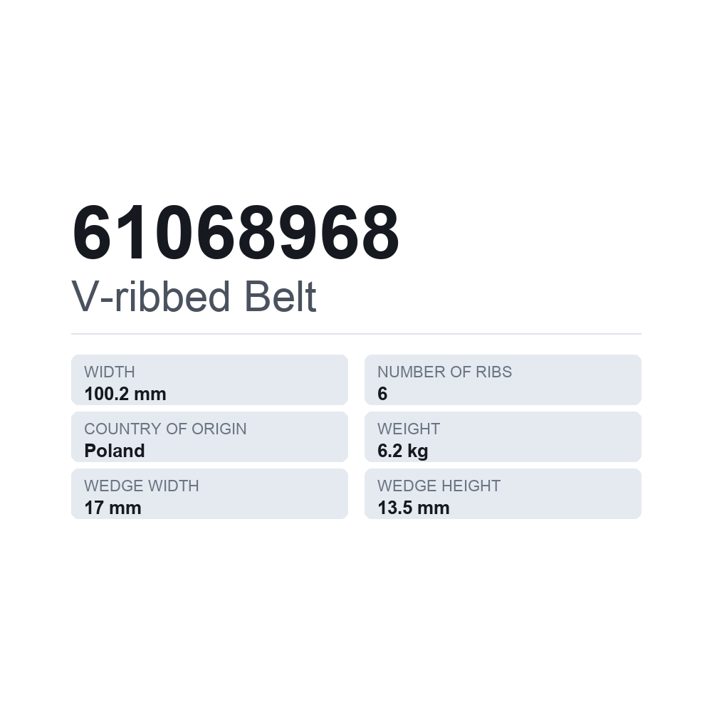 Ribbet rem 61068968 — teknisk datablad