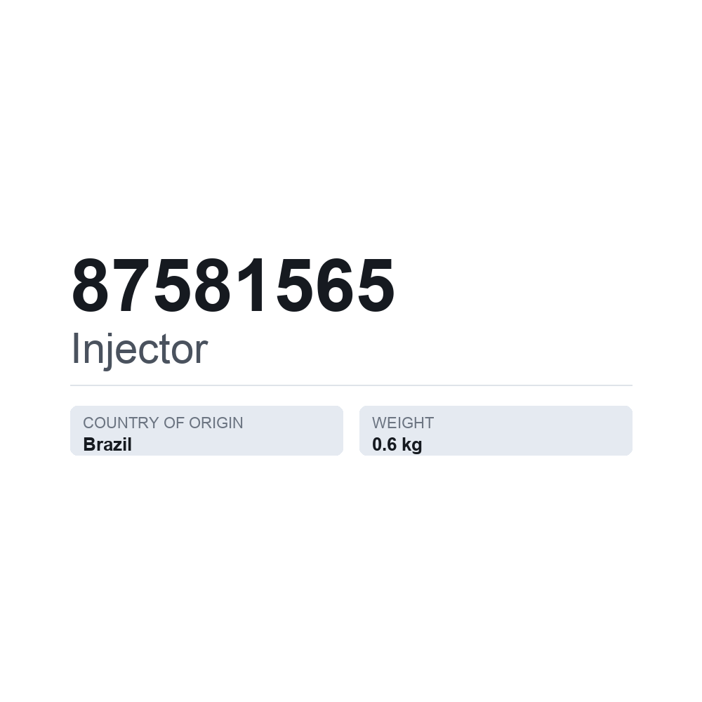 Einspritzdüse 87581565 — technisches Datenblatt