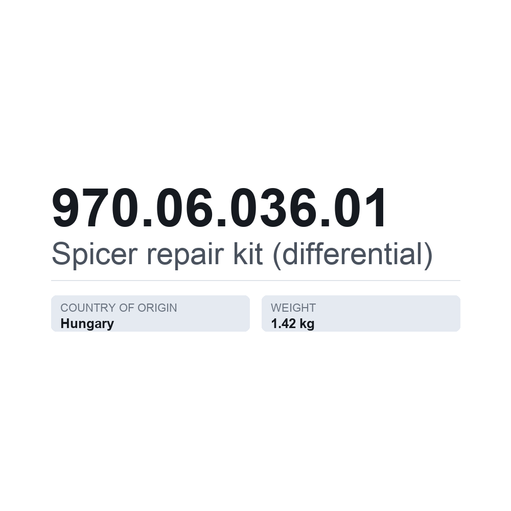 Spicer tasauspyörästön korjaussarja 970.06.036.01 — tekninen tietokortti