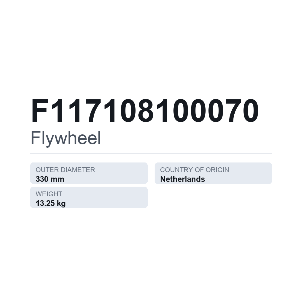 Schwungrad F117108100070 — technisches Datenblatt