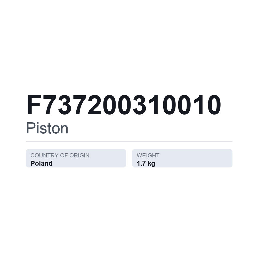 Kolben F737200310010 — technisches Datenblatt
